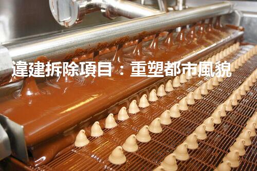 違建拆除項目：重塑都市風貌，共建和諧家園